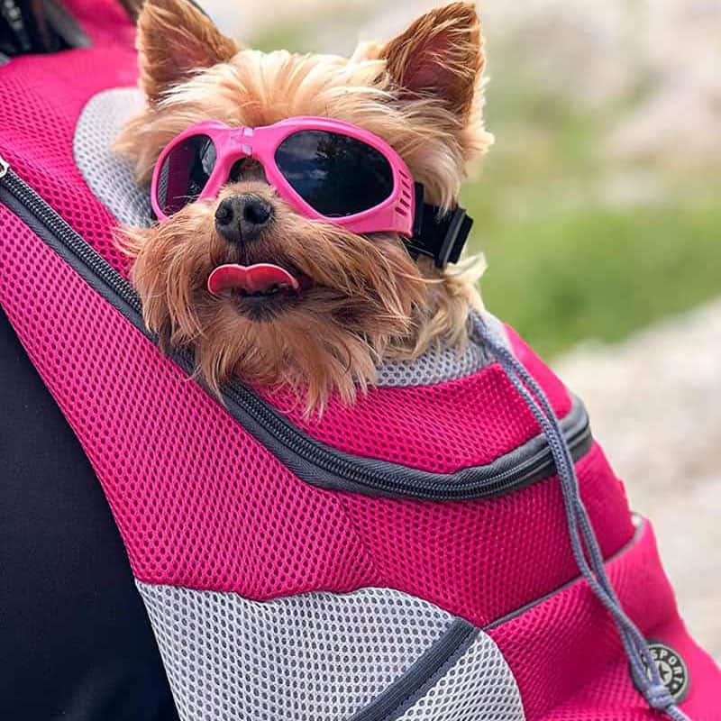Fur Sport Backpack Luxiz™️