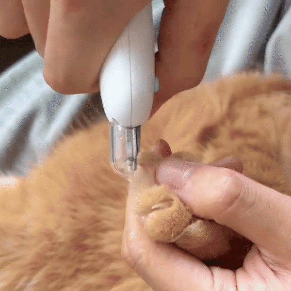 Smart Grooming Nail Clipper