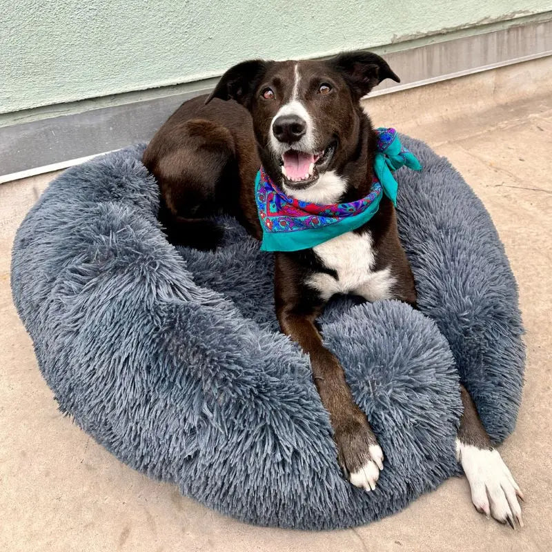 Luxiz™️ - World's #1 Anxiety Relieving Dog Bed Luxiz™️