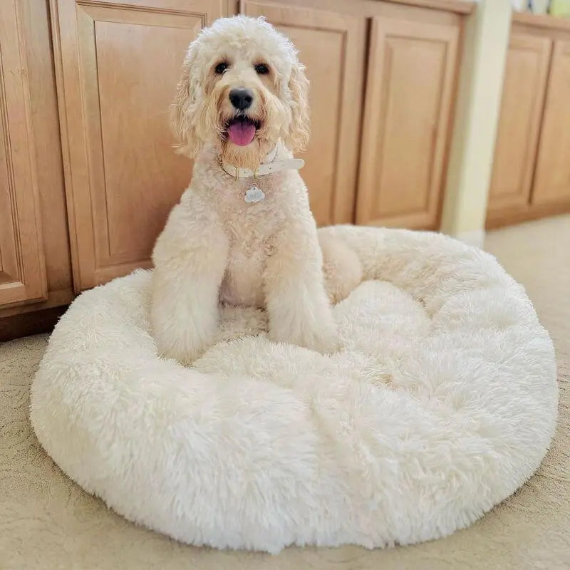Luxiz™️ - World's #1 Anxiety Relieving Dog Bed Luxiz™️