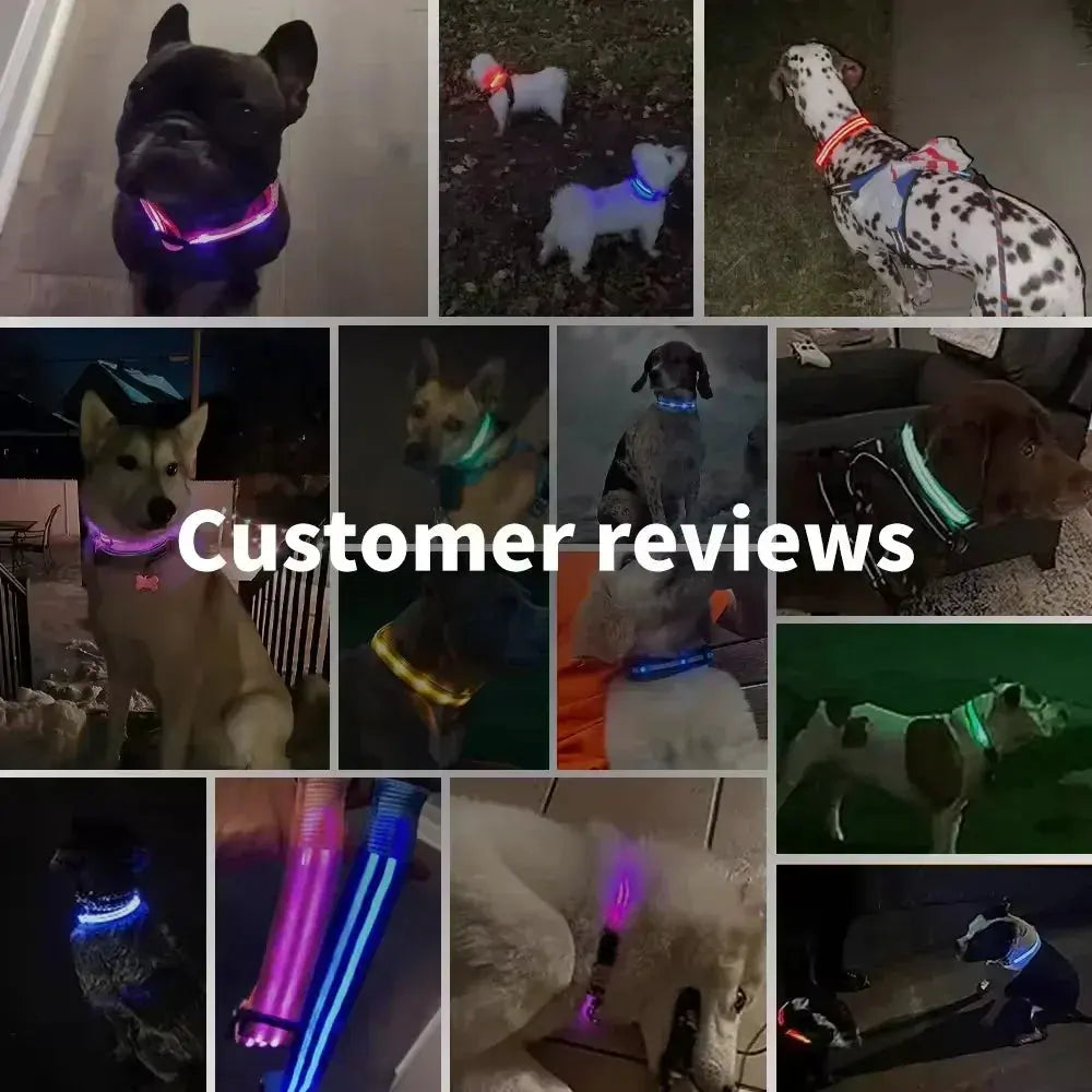 GlowBright Dog Collar - Luxiz™️