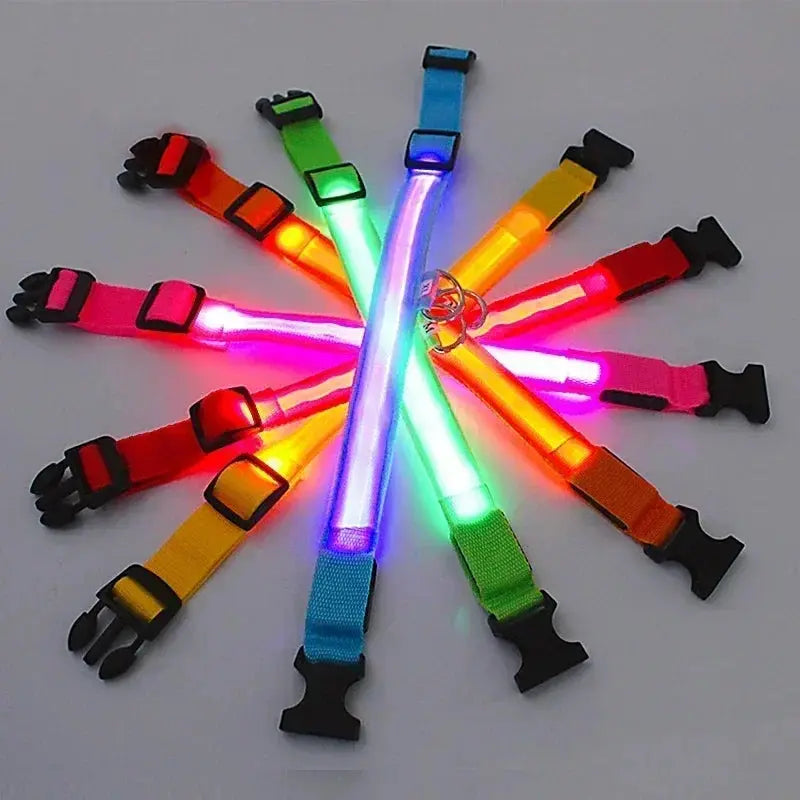 GlowBright Dog Collar - Luxiz™️