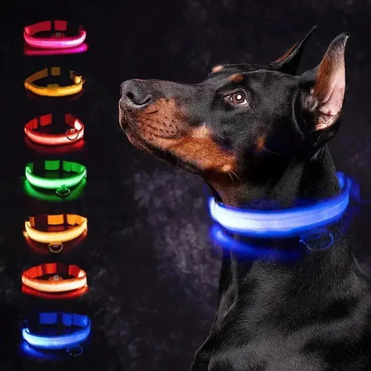 GlowBright Dog Collar - Luxiz™️