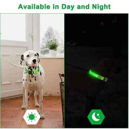 GlowBright Dog Collar - Luxiz™️