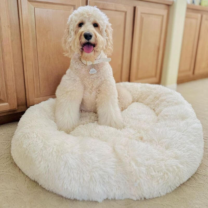 Luxiz™️ - World's #1 Anxiety Relieving Dog Bed