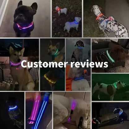 GlowBright Dog Collar - Luxiz™️