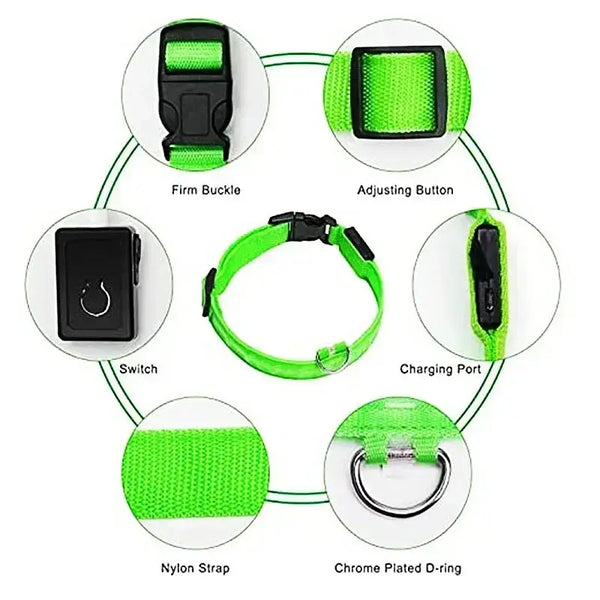 GlowBright Dog Collar - Luxiz™️