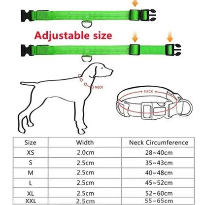 GlowBright Dog Collar - Luxiz™️